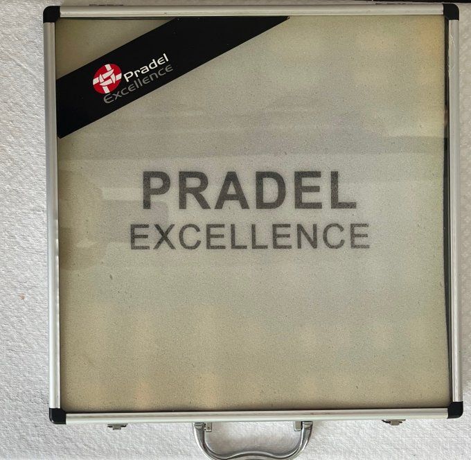 Valise de 11 couteaux Pradel Excellence, couteaux à steak et de cuisine