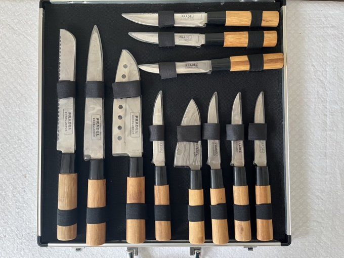 Valise de 11 couteaux Pradel Excellence, couteaux à steak et de cuisine