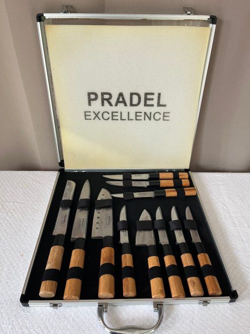 Valise de 11 couteaux Pradel Excellence, couteaux à steak et de cuisine
