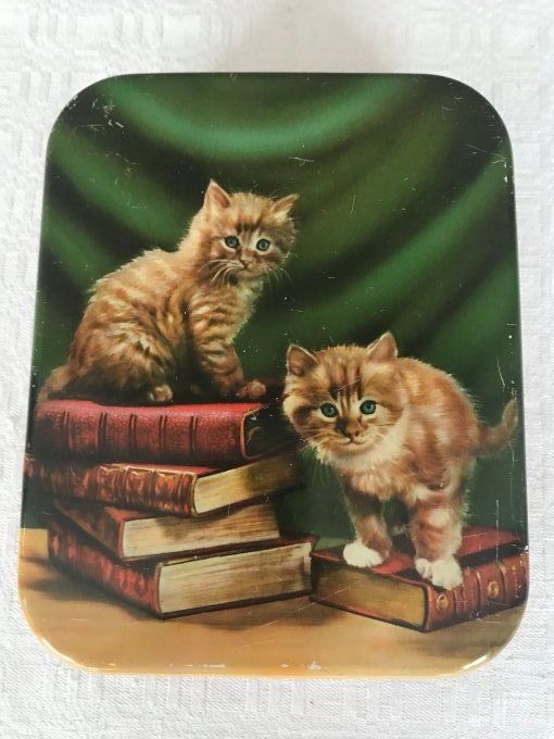 Boite ancienne en tôle lithographiée à décor de chats et de livres