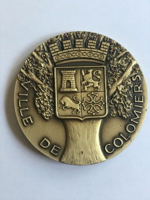 Médaille en bronze Airbus A340, Ville de Colomiers